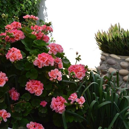 Nostos House Villa Triovasalos ภายนอก รูปภาพ