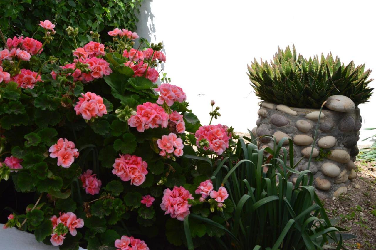 Nostos House Villa Triovasalos ภายนอก รูปภาพ